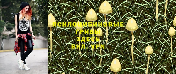 мдпв Абаза